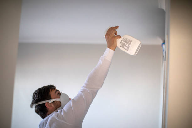 Best Mold Testing and Removal  in Ladd, IL